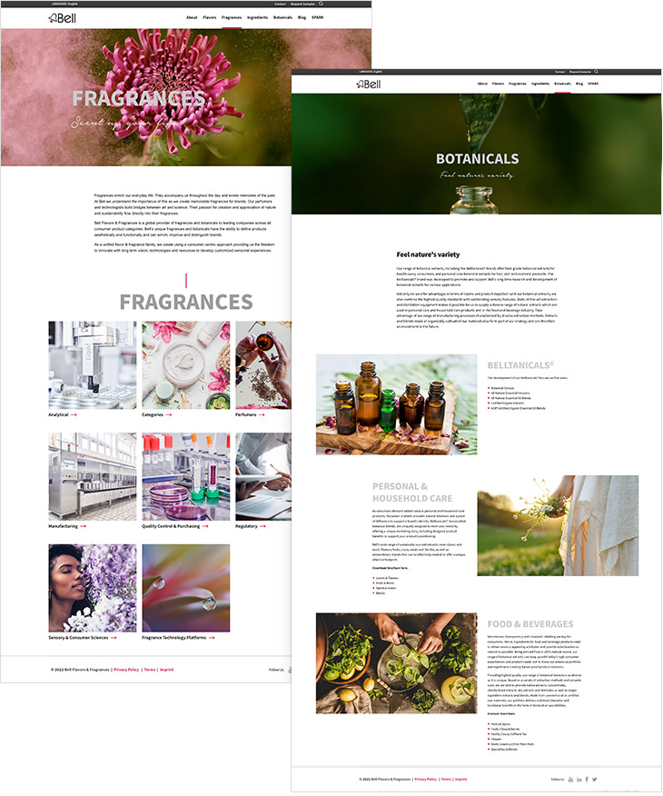 website page examples